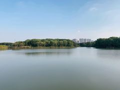 -昆山城市生态森林公园