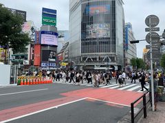 -涩谷全向十字路口
