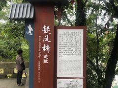 -恩阳古镇