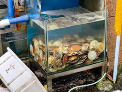 -黄沙水产交易市场