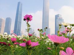 -海心沙亚运公园