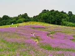-保利石象湖景区