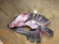 江团鱼-云中鱼蒸汽石锅鱼(川沙百联店)
