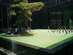 -上海崇明金茂凯悦酒店