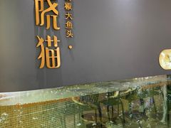 -黄晓猫剁椒大鱼头(海岸城店)