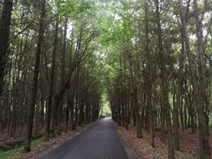 -同里国家湿地公园