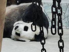 -西安秦岭野生动物园