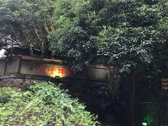 -龙井壹号·茶缘山景宴(龙井村店)