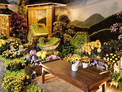 -杭州植物园