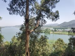 -子昂故里文化旅游区