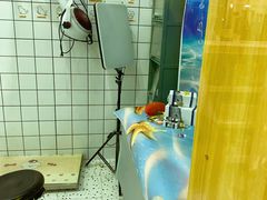 -BABIT巴比特宠物(MOMOPARK店)