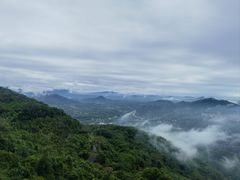-呀诺达热带雨林
