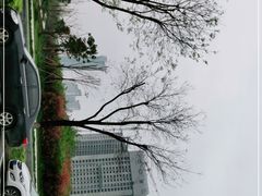 -唐城墙遗址公园