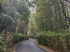 -天目湖涵田度假村