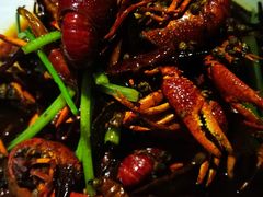 -红盔甲·小龙虾(天钥桥店)