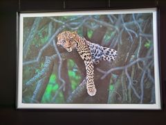 -罗红摄影艺术馆