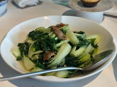 宁夏奶白菜苗（家烧）-新荣记(建国门外大街店)