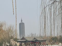 -西海子公园