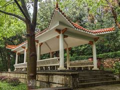 -中山公园(石岐街道)