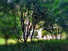 -上海汾阳花园酒店