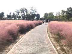 -南湖湿地公园