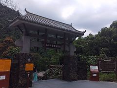 -海南热带雨林国家公园吊罗山景区