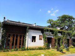 -田园东方蜜桃村的田野营地