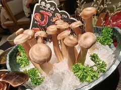 -季季山·云南野生菌火锅(上海首店)