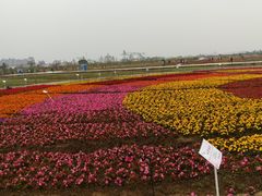 -润记农家菜