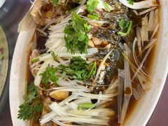 -微山岛春天里酒家