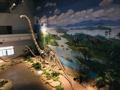 -自贡恐龙博物馆