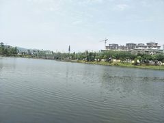 -枫香湖儿童公园