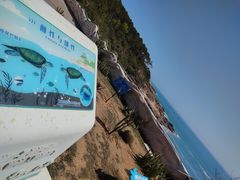 -广东惠东海龟国家级自然保护区