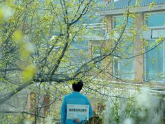 -大连北马山庄