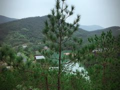 -莫干山郡安里度假酒店-桃尖中餐厅