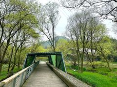 -西湖风景区-江洋畈生态公园