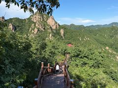 -大岭沟猕猴桃谷风景区