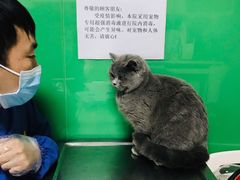 -半岛宠物医院24小时(科华中路店)