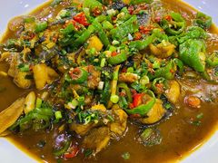 -全乐鱼馆·淳牌有机鱼直营店