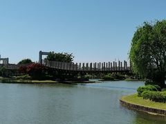 -上海鲜花港