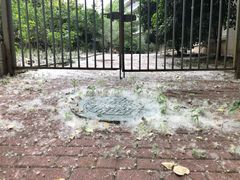 -南京大学-第9食堂