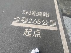 -海珠湖公园