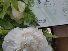 -仁和公园(顺义区)