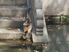 -西园戒幢律寺