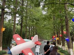 -黄海国家森林公园