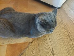 -Me Coffee下午茶艺术空间