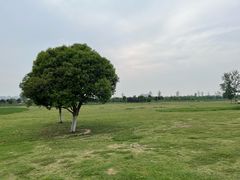 -汉长安城未央宫国家考古遗址公园