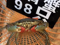 -莲花公园煎蟹(总店)