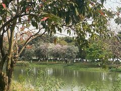 -海珠湖公园