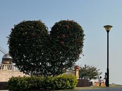-东莞植物园